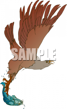 Eagle Clipart