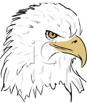 Eagle Clipart