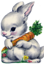 Carrot Clipart