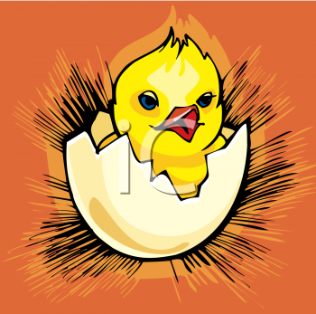 Chicken Clipart