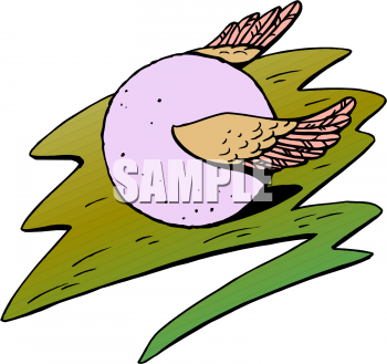 Eggs Clipart