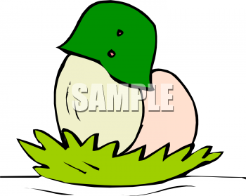 Eggs Clipart