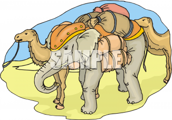 Camel Clipart