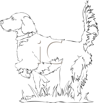 Dog Clipart