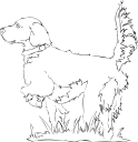 Dog Clipart