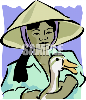 Duck Clipart