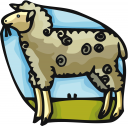 Sheep Clipart