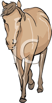 Horse Clipart