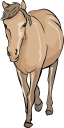 Horse Clipart