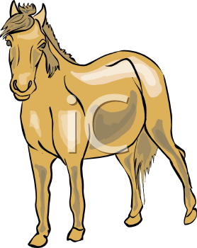 Horse Clipart