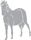 Horse Clipart