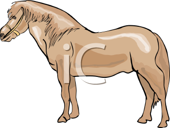 Horse Clipart