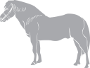 Horse Clipart