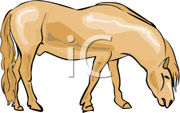 Horse Clipart