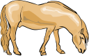 Horse Clipart