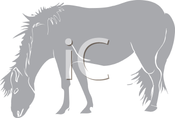 Horse Clipart