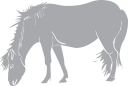 Horse Clipart