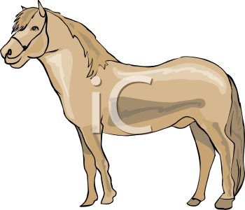 Horse Clipart