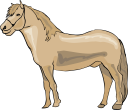 Horse Clipart