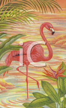 Flamingo Clipart