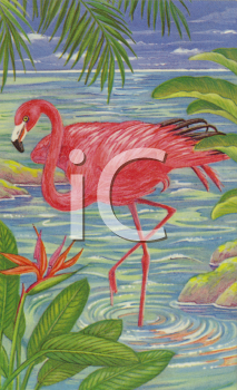 Flamingo Clipart