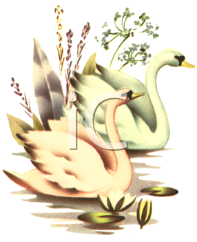 Swan Clipart