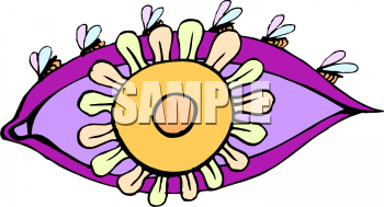 Sunflower Clipart