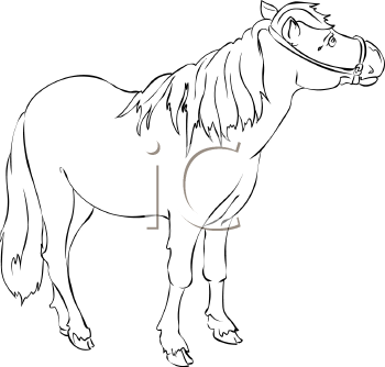 Horse Clipart