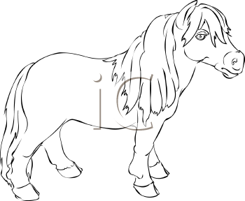 Horse Clipart