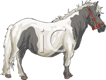 Horse Clipart