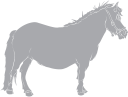 Horse Clipart