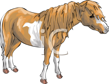 Horse Clipart