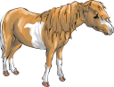 Horse Clipart