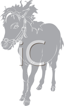 Horse Clipart