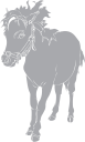 Horse Clipart