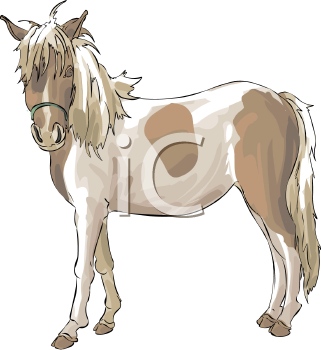 Horse Clipart