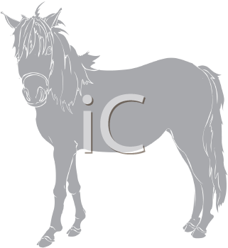 Horse Clipart