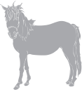 Horse Clipart