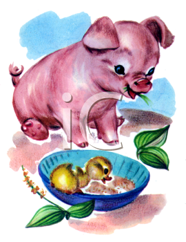 Pig Clipart