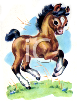 Horse Clipart