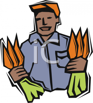 Carrot Clipart