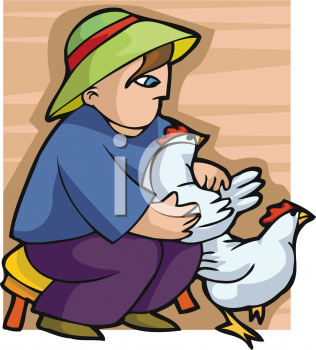 Chicken Clipart