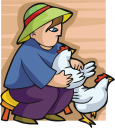 Chicken Clipart