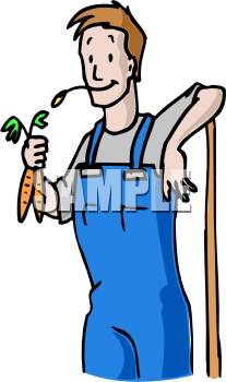 Carrot Clipart