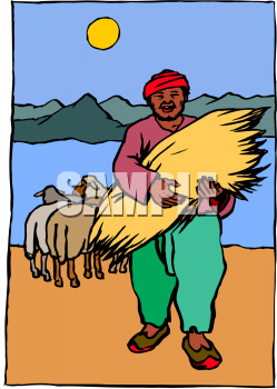 Sheep Clipart