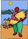 Sheep Clipart