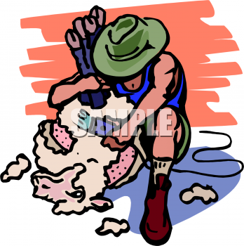 Sheep Clipart