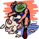 Sheep Clipart