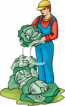 Vegetables Clipart