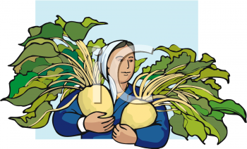 Vegetables Clipart